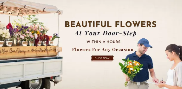 Same Day Flowers Delivery