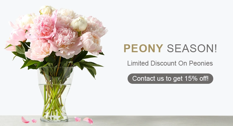Peonies Flower Delivery