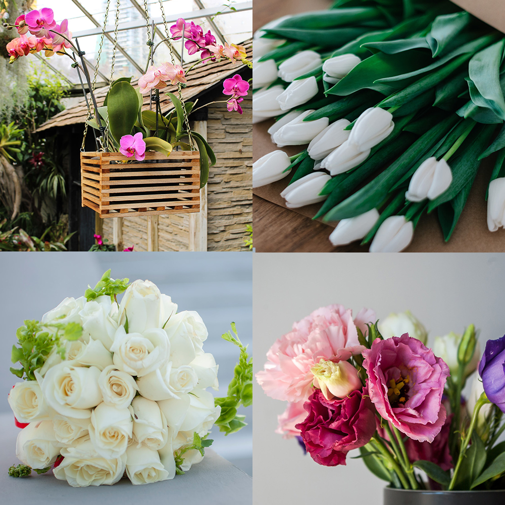 Symbolic Meanings Behind Gifting Flowers Of Tulips, roses, peonies and orchids