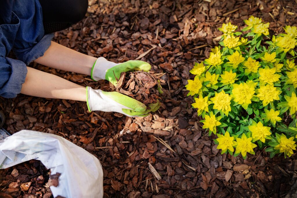 putting mulch in the soil in flower garden is the best Tips to Grow Flowers