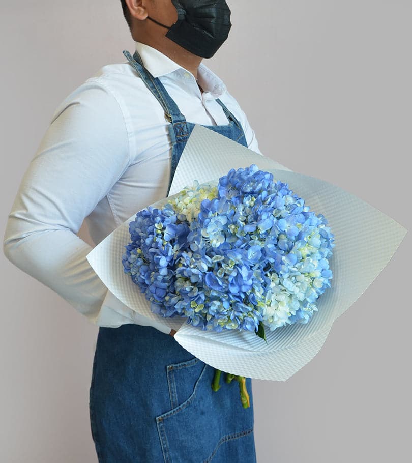 Blue hydrangeas - Best masculine flower
