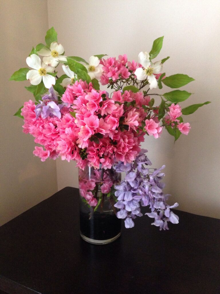 Most Romantic Flowers for Your Partner